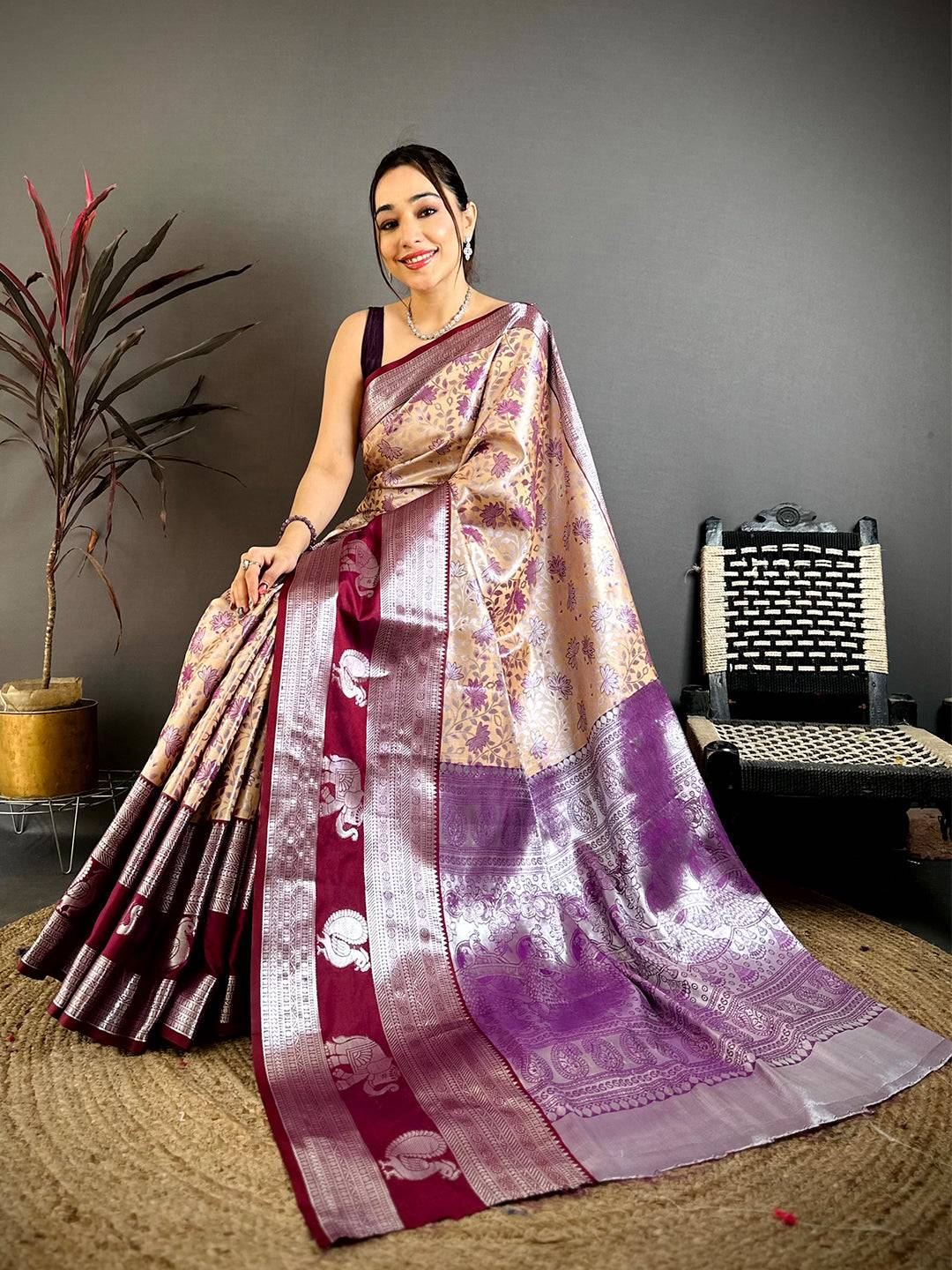 Beige Dharmavaram Double Ikkat Pattu Saree