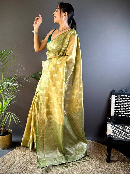 Graceful Olive Kora Tissue Pattu Saree
