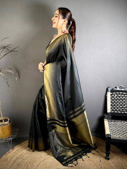Dark Black Plain Body Ikkat Border Pattu Saree