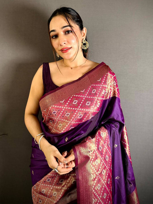 Exclusive Silk Ikkat Big Border Pattu Saree