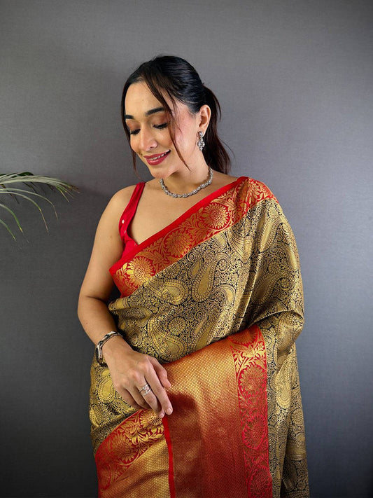 Black Radiance Banarasi Katan Silk Pattu Saree
